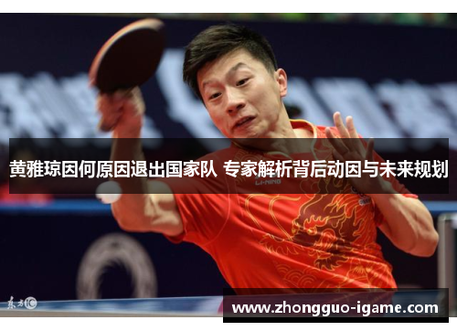 黄雅琼因何原因退出国家队 专家解析背后动因与未来规划