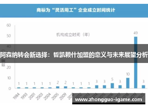 阿森纳转会新选择：哲凯赖什加盟的意义与未来展望分析
